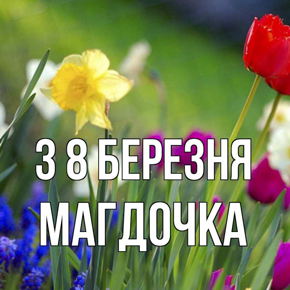 Открытка на каждый день з підписом, Магдочка З 8 БЕРЕЗНЯ международный женский день 3 Прикольна листівка з побажанням онлайн скачати безкоштовно 