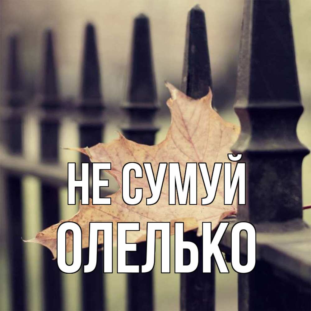 Открытка на каждый день з підписом, Олелько Не сумуй лист клена Прикольна листівка з побажанням онлайн скачати безкоштовно 