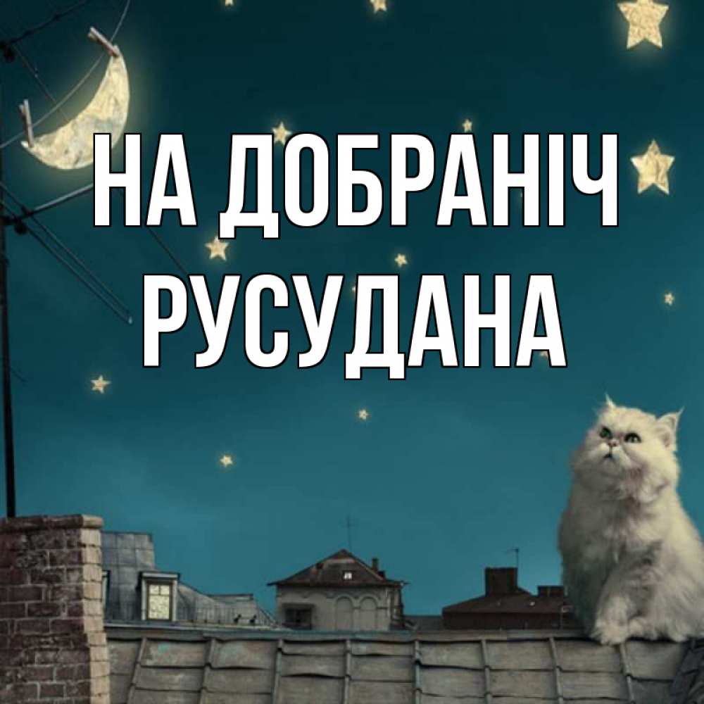 Открытка на каждый день з підписом, Русудана На добраніч белый кот сидит на крыше Прикольна листівка з побажанням онлайн скачати безкоштовно 