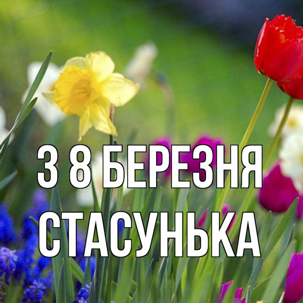 Открытка на каждый день з підписом, Стасунька З 8 БЕРЕЗНЯ международный женский день 3 Прикольна листівка з побажанням онлайн скачати безкоштовно 
