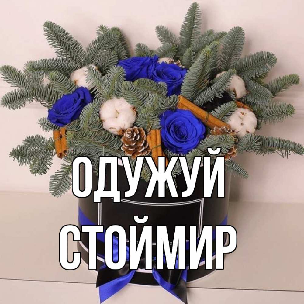 Открытка на каждый день з підписом, Стоймир Одужуй короче кто то загрузил эти шишки Прикольна листівка з побажанням онлайн скачати безкоштовно 