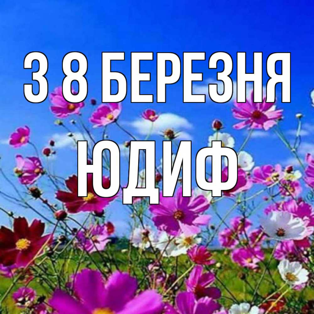 Открытка на каждый день з підписом, Юдиф З 8 БЕРЕЗНЯ цветы Прикольна листівка з побажанням онлайн скачати безкоштовно 