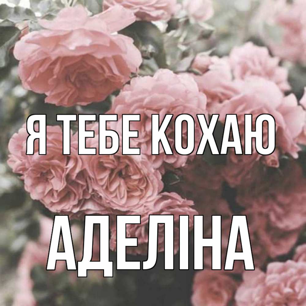 Открытка на каждый день з підписом, Аделіна Я тебе кохаю розы 3 Прикольна листівка з побажанням онлайн скачати безкоштовно 