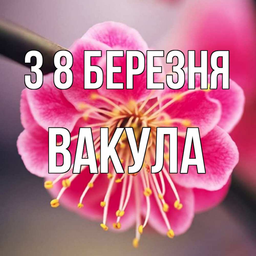 Открытка на каждый день з підписом, Вакула З 8 БЕРЕЗНЯ цветы Прикольна листівка з побажанням онлайн скачати безкоштовно 