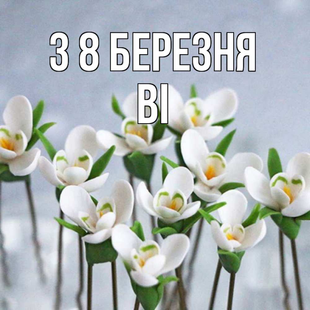 Открытка на каждый день з підписом, Ві З 8 БЕРЕЗНЯ весенние цветы Прикольна листівка з побажанням онлайн скачати безкоштовно 