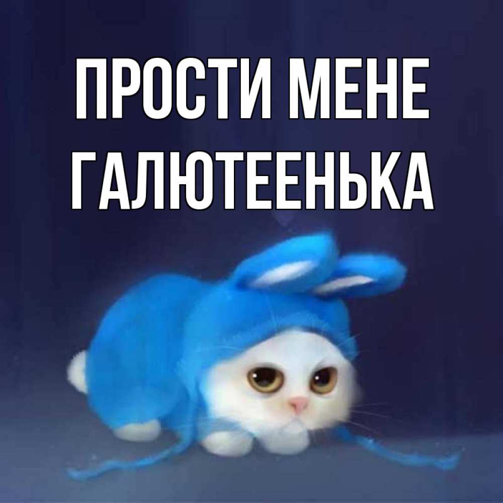 Открытка на каждый день з підписом, Галютеенька Прости мене невинный котозай просит прощения Прикольна листівка з побажанням онлайн скачати безкоштовно 