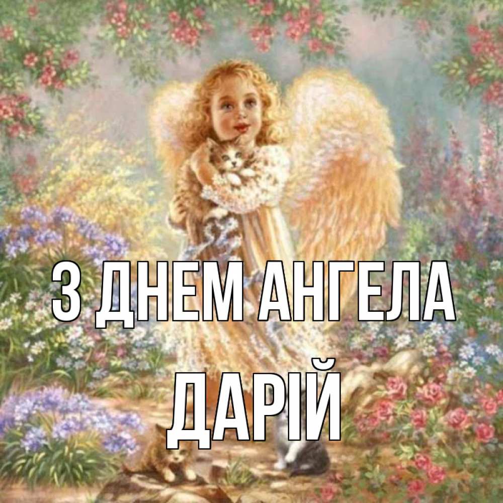Открытка на каждый день з підписом, Дарій З Днем ангела держит котенка Прикольна листівка з побажанням онлайн скачати безкоштовно 