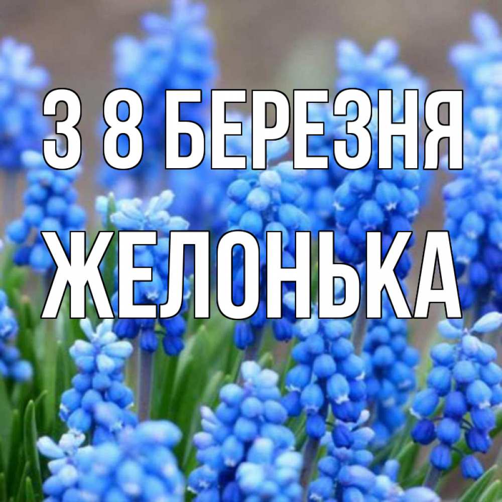 Открытка на каждый день з підписом, Желонька З 8 БЕРЕЗНЯ Поздравительная открытка для женщин с цветами на праздничную дату Прикольна листівка з побажанням онлайн скачати безкоштовно 