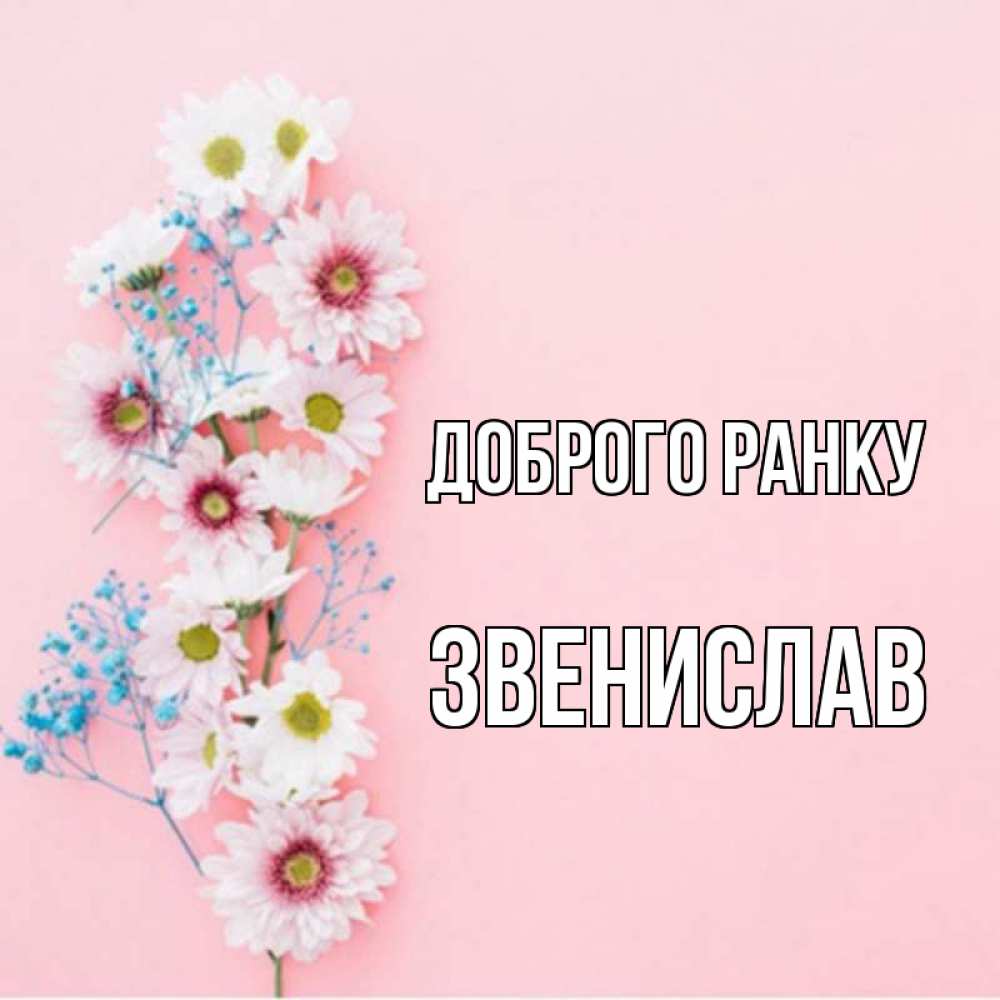 Открытка на каждый день з підписом, Звенислав Доброго ранку цветы с подписью Прикольна листівка з побажанням онлайн скачати безкоштовно 