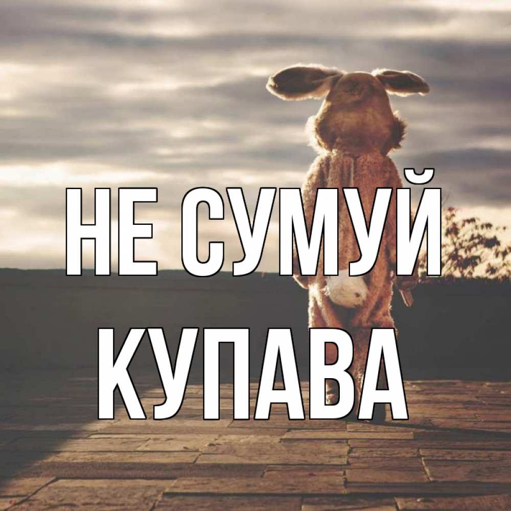 Открытка на каждый день з підписом, Купава Не сумуй со спины Прикольна листівка з побажанням онлайн скачати безкоштовно 