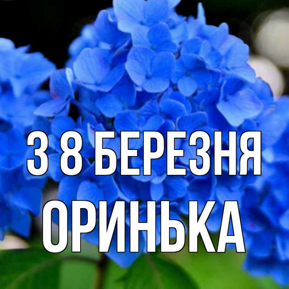 Открытка на каждый день з підписом, Оринька З 8 БЕРЕЗНЯ синие цветы Прикольна листівка з побажанням онлайн скачати безкоштовно 