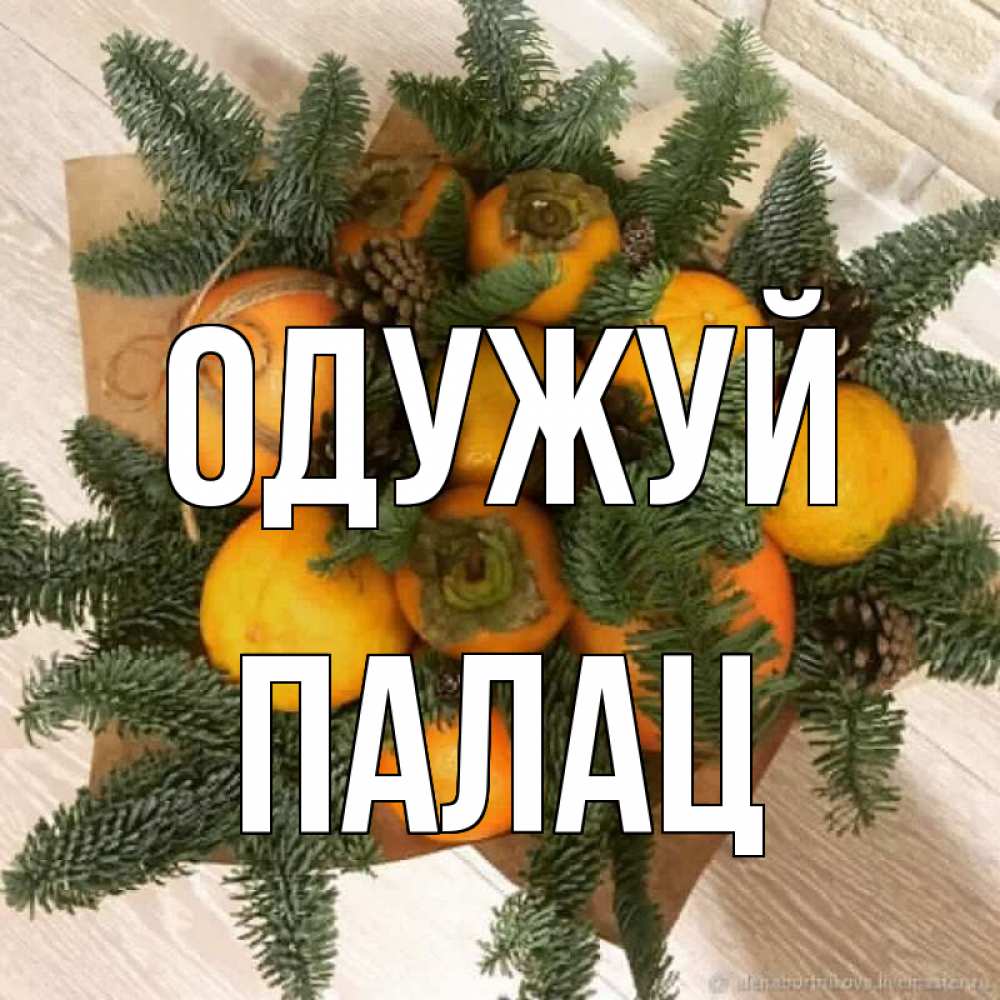 Открытка на каждый день з підписом, Палац Одужуй апельсины и хурьма Прикольна листівка з побажанням онлайн скачати безкоштовно 