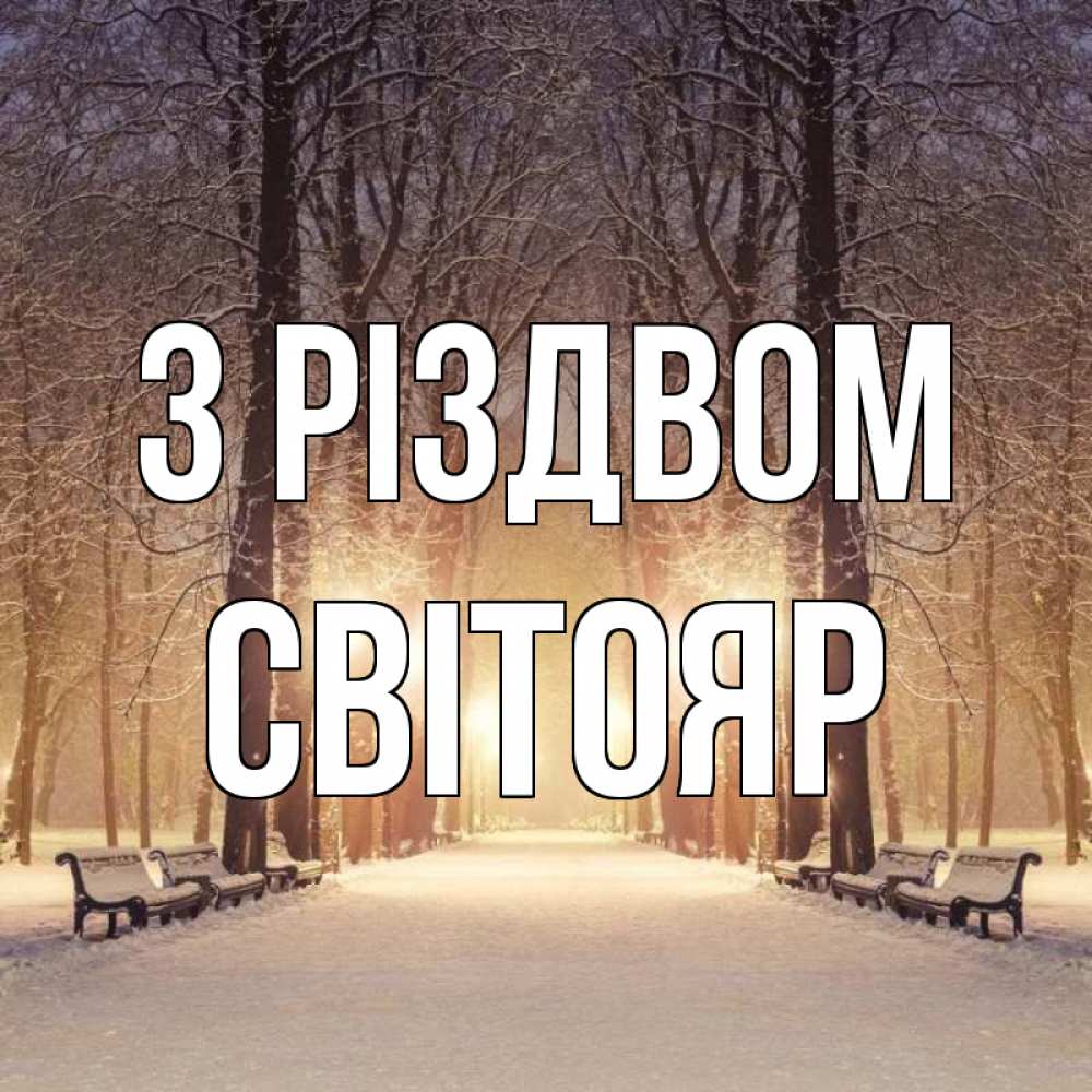 Открытка на каждый день з підписом, Світояр З Різдвом зима, парк, фонарь, лес Прикольна листівка з побажанням онлайн скачати безкоштовно 