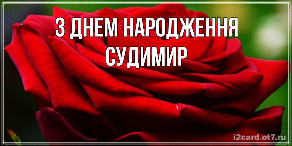 Открытка на каждый день з підписом, Судимир З Днем народження розочка очень красивая Прикольна листівка з побажанням онлайн скачати безкоштовно 