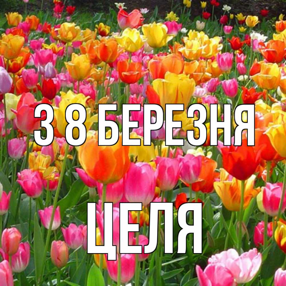 Открытка на каждый день з підписом, Целя З 8 БЕРЕЗНЯ на международный женский день Прикольна листівка з побажанням онлайн скачати безкоштовно 