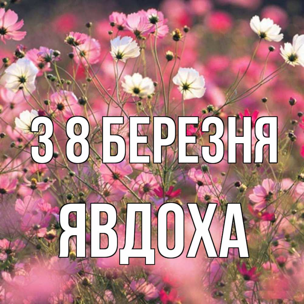 Открытка на каждый день з підписом, Явдоха З 8 БЕРЕЗНЯ красиво 1 Прикольна листівка з побажанням онлайн скачати безкоштовно 