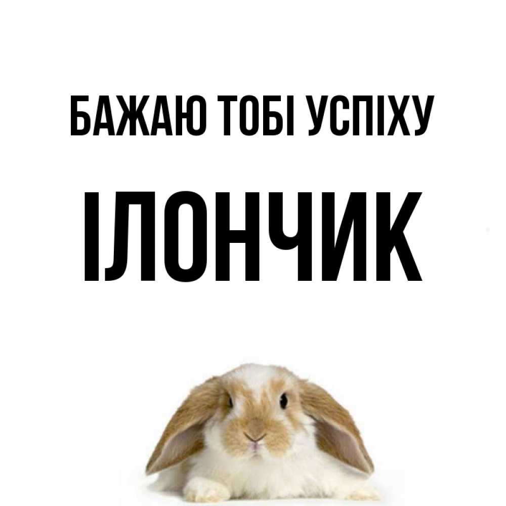 Открытка на каждый день з підписом, Ілончик Бажаю тобі успіху открытки с произвольным текстом который можно вставить в открытку и создать ее самостоятельно бесплатно онлайн Прикольна листівка з побажанням онлайн скачати безкоштовно 