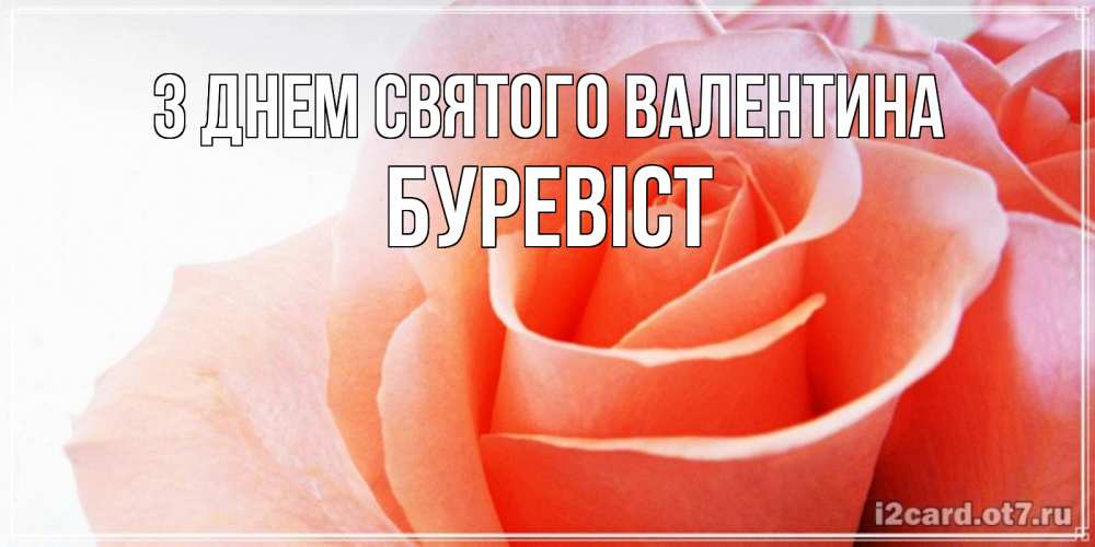 Открытка на каждый день з підписом, Буревіст З Днем Святого Валентина открытка на день Святого Валентина с розовой розой Прикольна листівка з побажанням онлайн скачати безкоштовно 