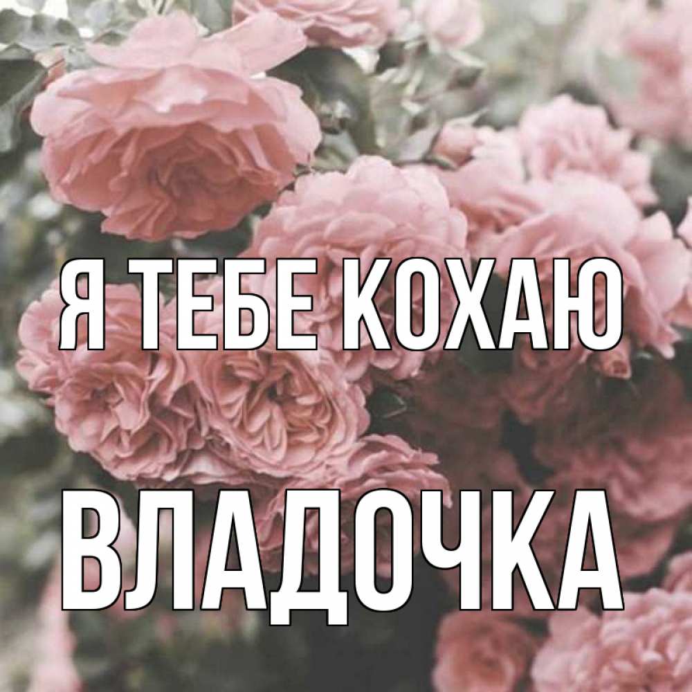 Открытка на каждый день з підписом, Владочка Я тебе кохаю розы 3 Прикольна листівка з побажанням онлайн скачати безкоштовно 