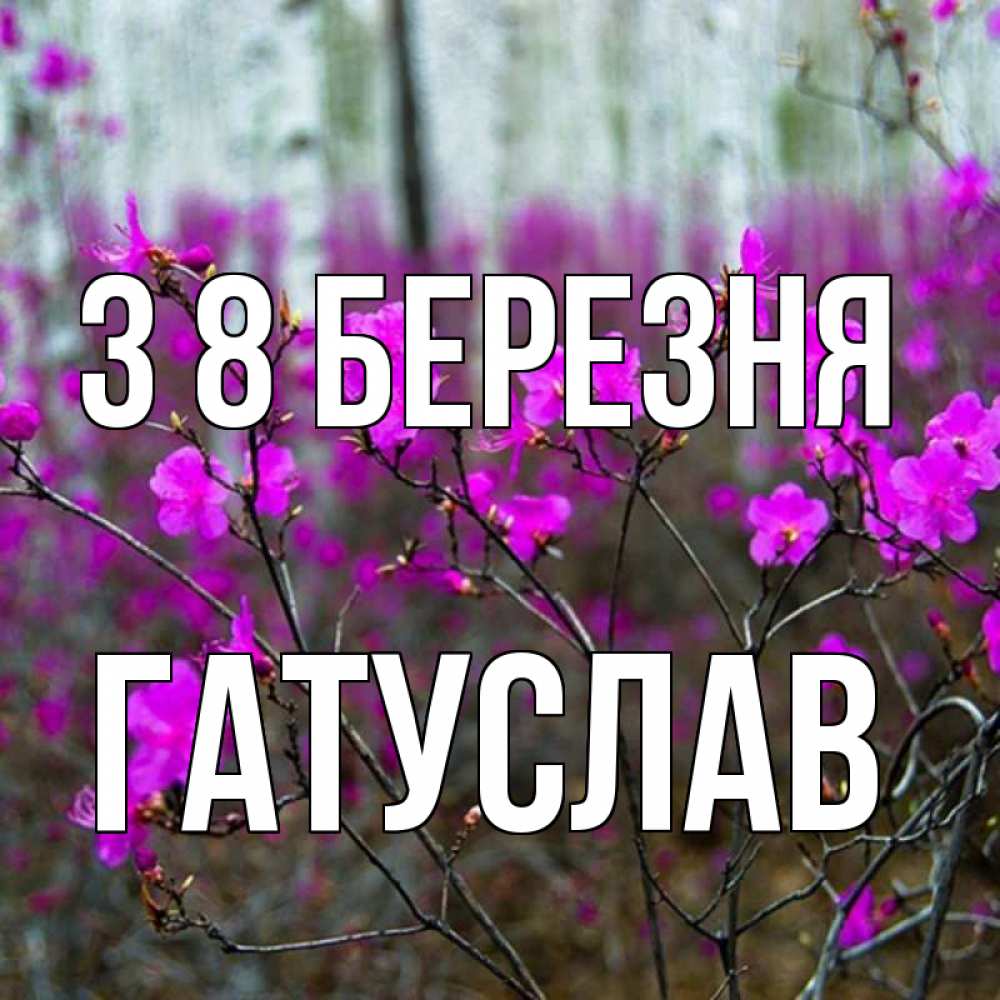 Открытка на каждый день з підписом, Гатуслав З 8 БЕРЕЗНЯ дикие цветы Прикольна листівка з побажанням онлайн скачати безкоштовно 