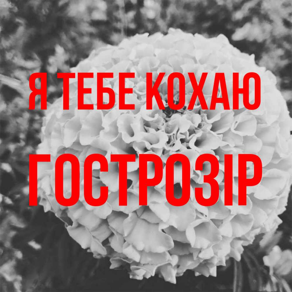 Открытка на каждый день з підписом, Гострозір Я тебе кохаю подпись Прикольна листівка з побажанням онлайн скачати безкоштовно 