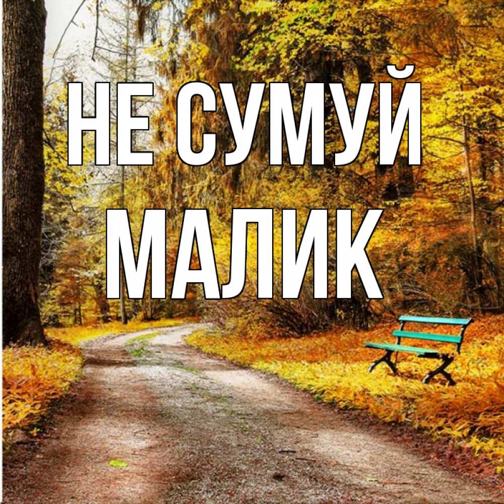 Открытка на каждый день з підписом, Малик Не сумуй зеленая лавочка Прикольна листівка з побажанням онлайн скачати безкоштовно 