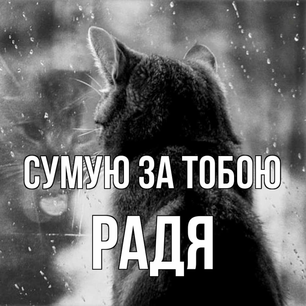 Открытка на каждый день з підписом, Радя Сумую за тобою скорее ко мне приходи 1 Прикольна листівка з побажанням онлайн скачати безкоштовно 