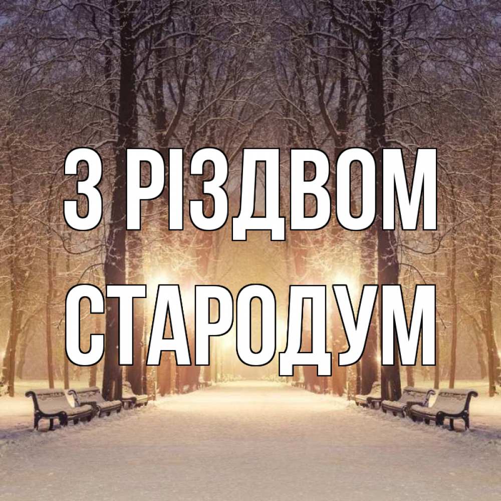 Открытка на каждый день з підписом, Стародум З Різдвом зима, парк, фонарь, лес Прикольна листівка з побажанням онлайн скачати безкоштовно 