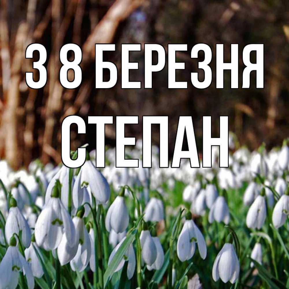 Открытка на каждый день з підписом, Степан З 8 БЕРЕЗНЯ с подснежниками 1 Прикольна листівка з побажанням онлайн скачати безкоштовно 