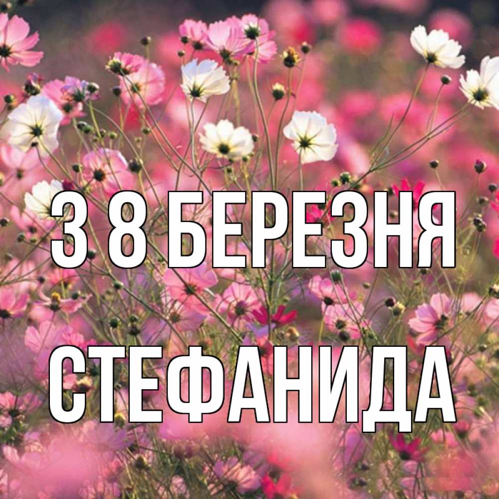 Открытка на каждый день з підписом, Стефанида З 8 БЕРЕЗНЯ красиво 1 Прикольна листівка з побажанням онлайн скачати безкоштовно 