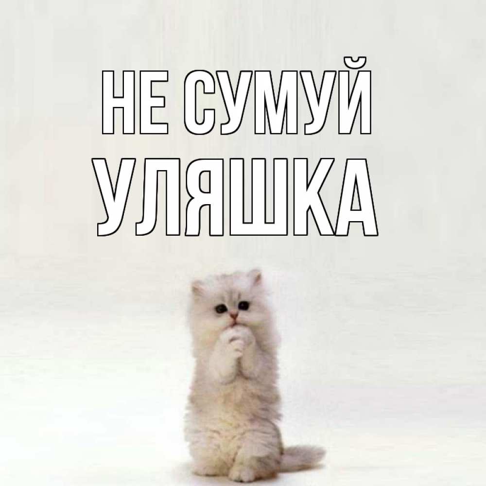 Открытка на каждый день з підписом, Уляшка Не сумуй грустный кот Прикольна листівка з побажанням онлайн скачати безкоштовно 
