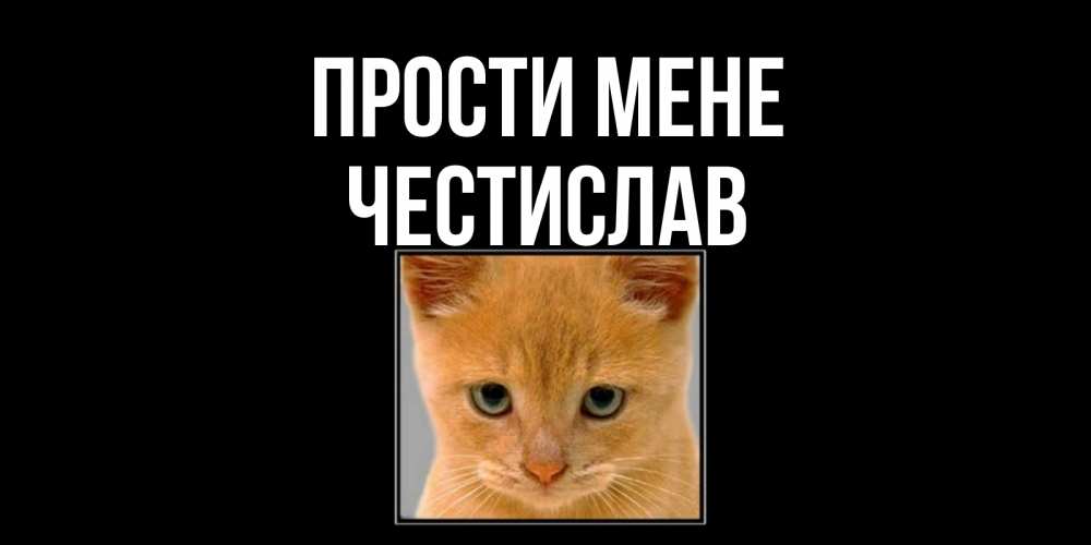 Открытка на каждый день з підписом, Честислав Прости мене рыжий грустный кот просит прощения Прикольна листівка з побажанням онлайн скачати безкоштовно 
