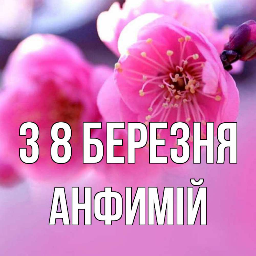 Открытка на каждый день з підписом, Анфимій З 8 БЕРЕЗНЯ международный женский день Прикольна листівка з побажанням онлайн скачати безкоштовно 