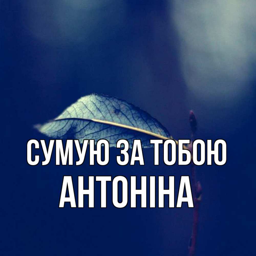 Открытка на каждый день з підписом, Антоніна Сумую за тобою одна ветка 1 Прикольна листівка з побажанням онлайн скачати безкоштовно 