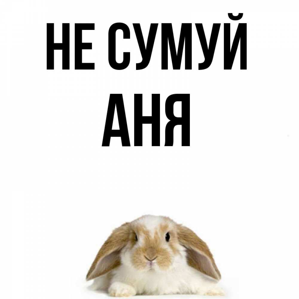 Открытка на каждый день з підписом, Аня Не сумуй коричнево белый заяц с большими ушками Прикольна листівка з побажанням онлайн скачати безкоштовно 