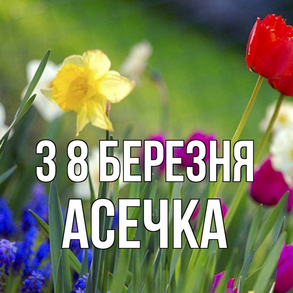 Открытка на каждый день з підписом, Асечка З 8 БЕРЕЗНЯ международный женский день 3 Прикольна листівка з побажанням онлайн скачати безкоштовно 