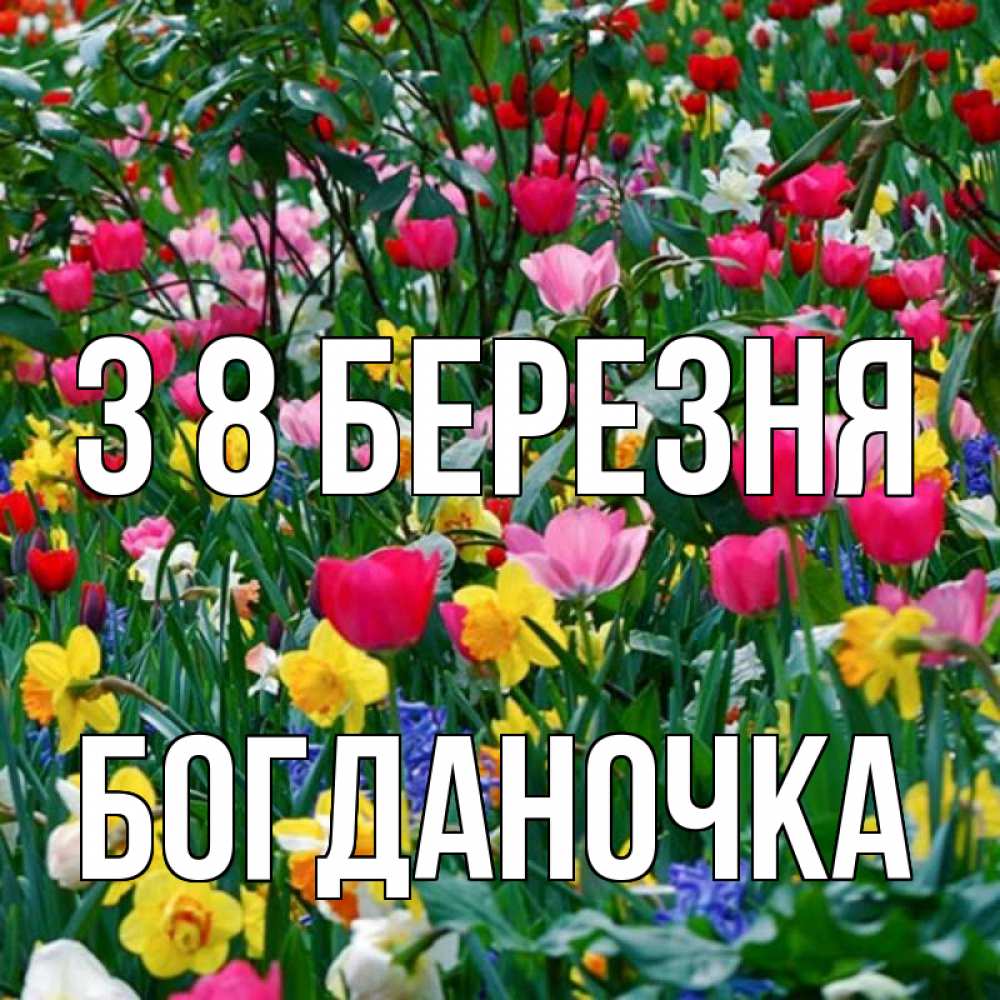 Открытка на каждый день з підписом, Богданочка З 8 БЕРЕЗНЯ с международным женским днем поздравления для женщины Прикольна листівка з побажанням онлайн скачати безкоштовно 