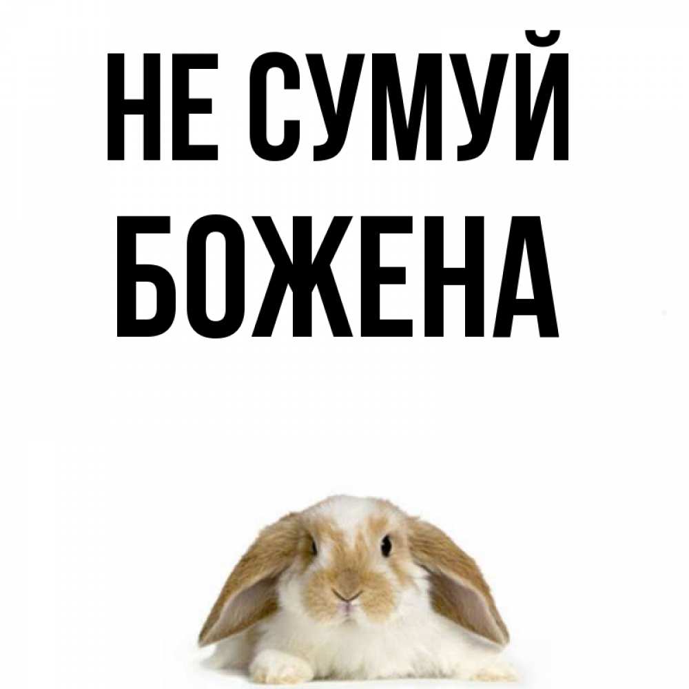 Открытка на каждый день з підписом, Божена Не сумуй коричнево белый заяц с большими ушками Прикольна листівка з побажанням онлайн скачати безкоштовно 