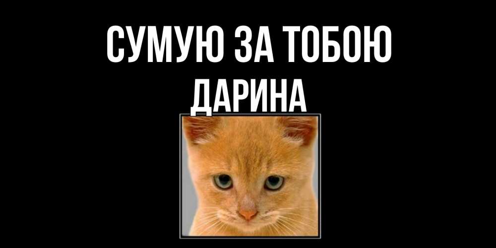 Открытка на каждый день з підписом, Дарина Сумую за тобою открытки рыжий котенок скучает по тебе Прикольна листівка з побажанням онлайн скачати безкоштовно 