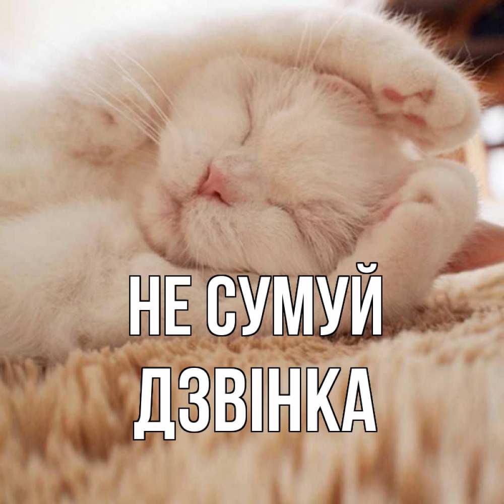Открытка на каждый день з підписом, Дзвінка Не сумуй белый кот Прикольна листівка з побажанням онлайн скачати безкоштовно 