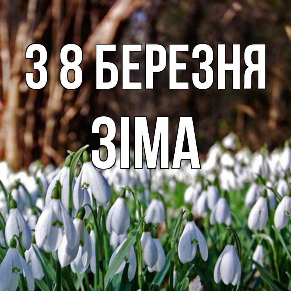 Открытка на каждый день з підписом, Зіма З 8 БЕРЕЗНЯ с подснежниками 1 Прикольна листівка з побажанням онлайн скачати безкоштовно 