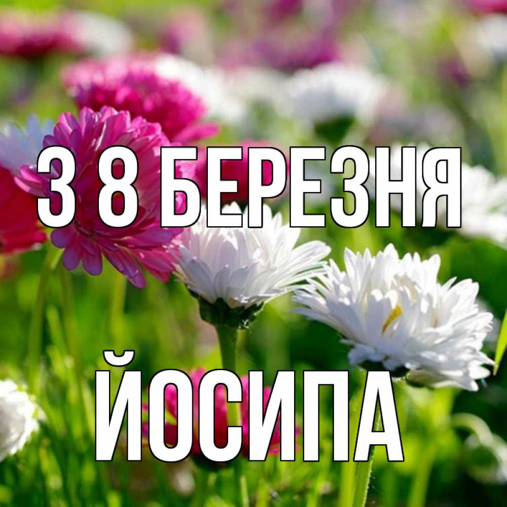Открытка на каждый день з підписом, Йосипа З 8 БЕРЕЗНЯ международный женский день 1 Прикольна листівка з побажанням онлайн скачати безкоштовно 