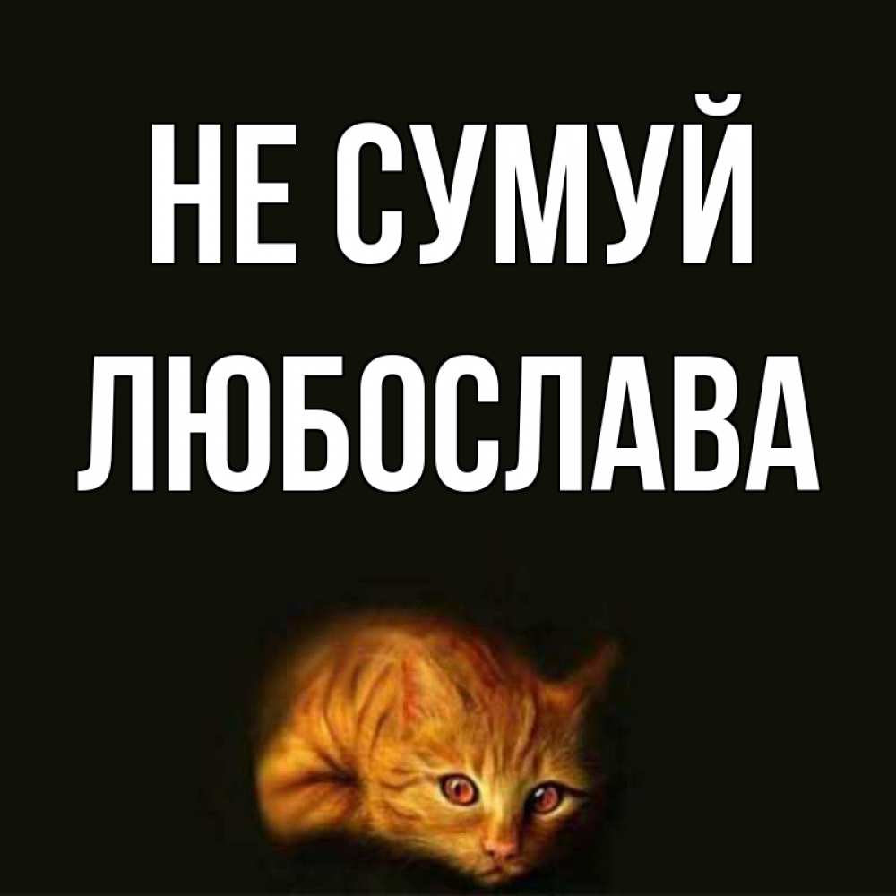 Открытка на каждый день з підписом, Любослава Не сумуй лежащий кот в темноте Прикольна листівка з побажанням онлайн скачати безкоштовно 