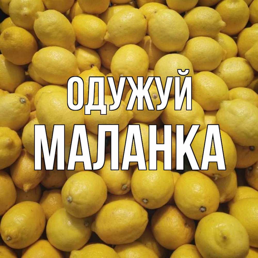 Открытка на каждый день з підписом, Маланка Одужуй это точно поможет Прикольна листівка з побажанням онлайн скачати безкоштовно 
