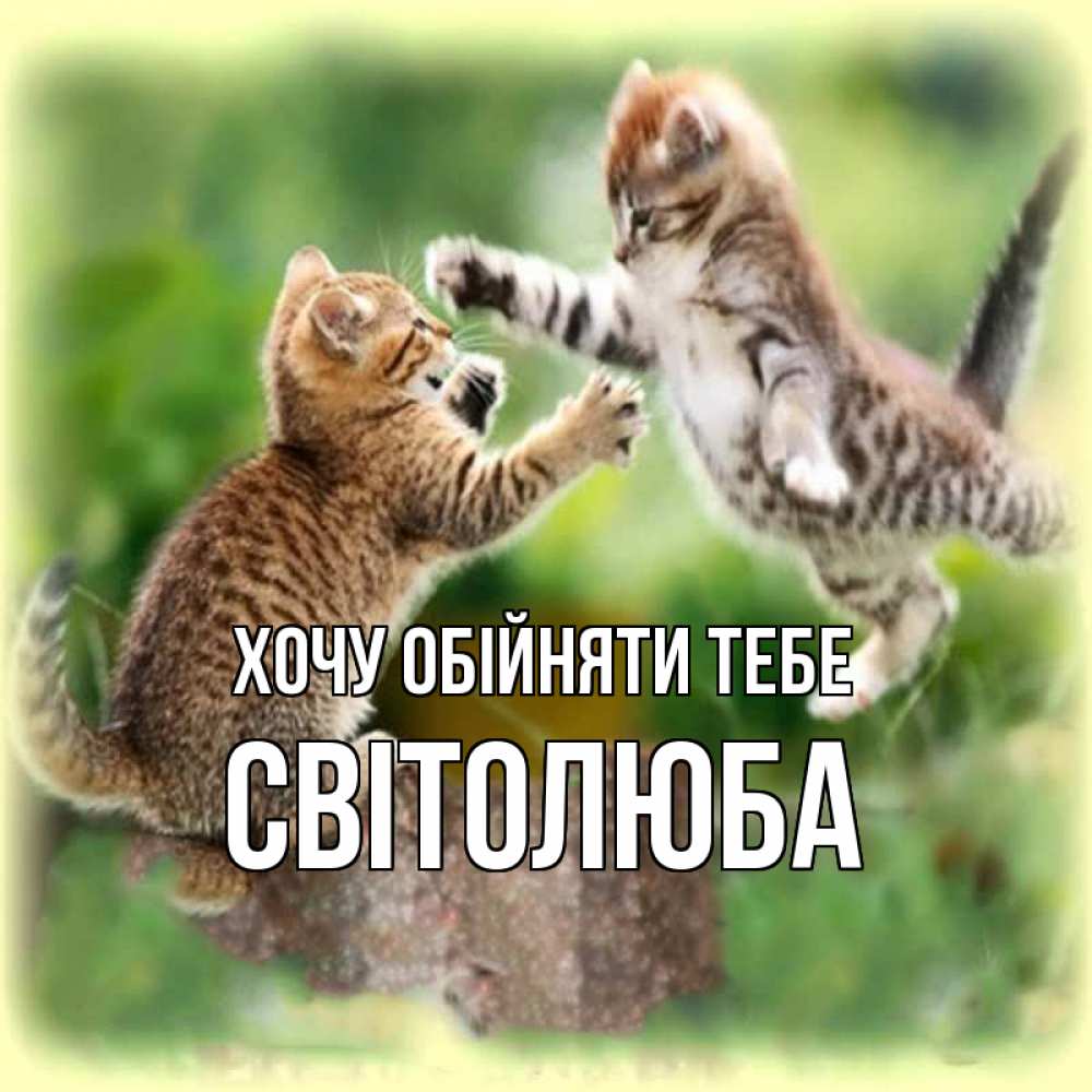 Открытка на каждый день з підписом, Світолюба Хочу обійняти тебе игры котят Прикольна листівка з побажанням онлайн скачати безкоштовно 