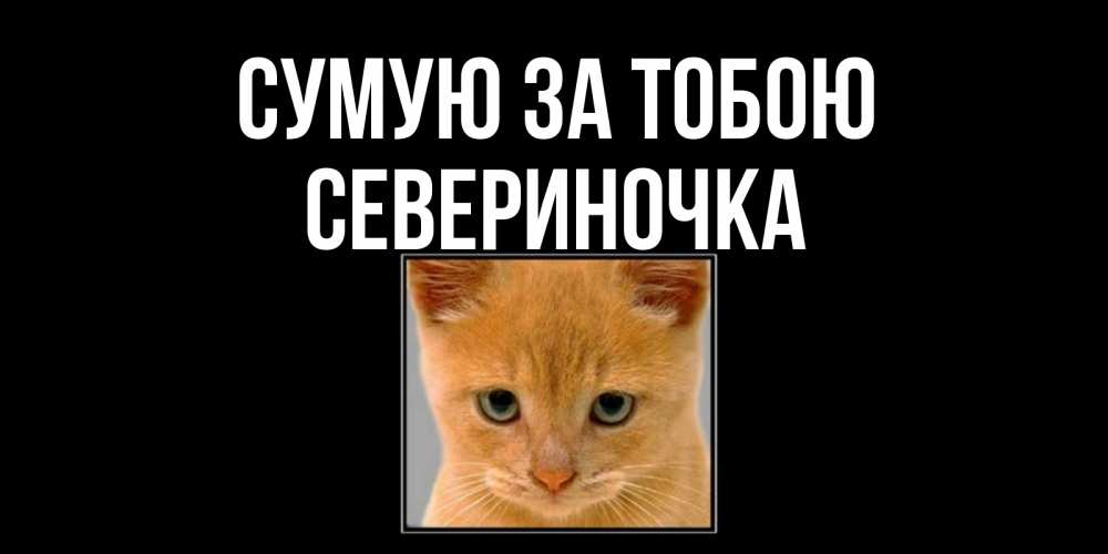 Открытка на каждый день з підписом, Севериночка Сумую за тобою открытки рыжий котенок скучает по тебе Прикольна листівка з побажанням онлайн скачати безкоштовно 