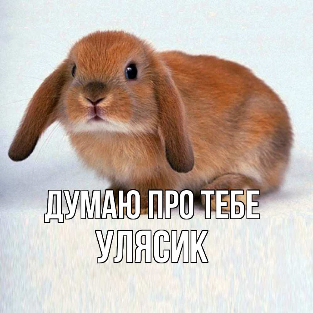 Открытка на каждый день з підписом, Улясик Думаю про тебе кроль коричневый Прикольна листівка з побажанням онлайн скачати безкоштовно 