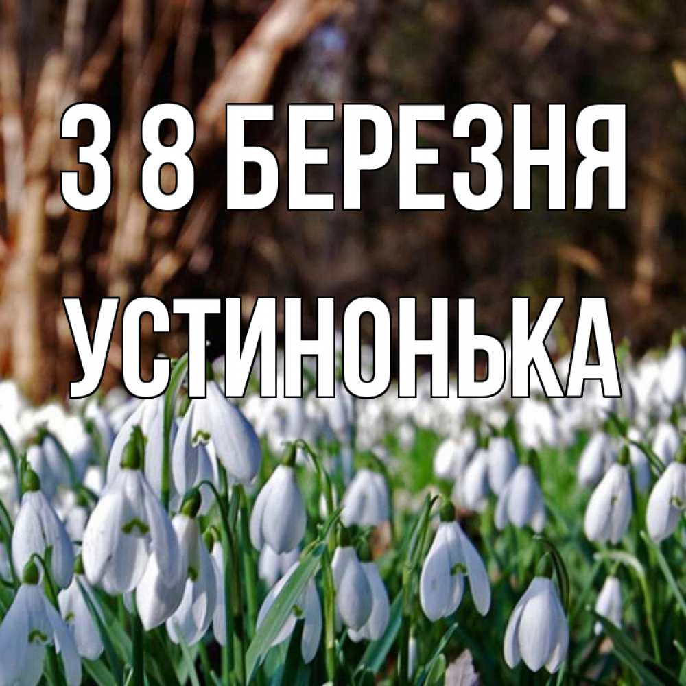 Открытка на каждый день з підписом, Устинонька З 8 БЕРЕЗНЯ с подснежниками 1 Прикольна листівка з побажанням онлайн скачати безкоштовно 
