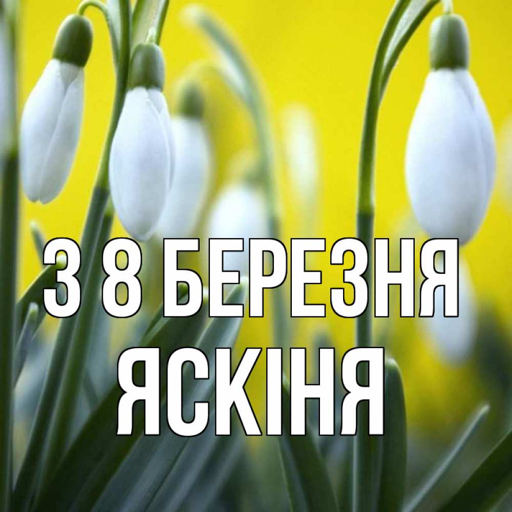 Открытка на каждый день з підписом, Яскіня З 8 БЕРЕЗНЯ весенние цветы Прикольна листівка з побажанням онлайн скачати безкоштовно 