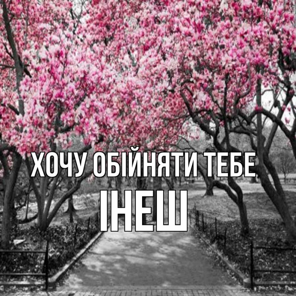Открытка на каждый день з підписом, Інеш Хочу обійняти тебе обработанное фото Прикольна листівка з побажанням онлайн скачати безкоштовно 